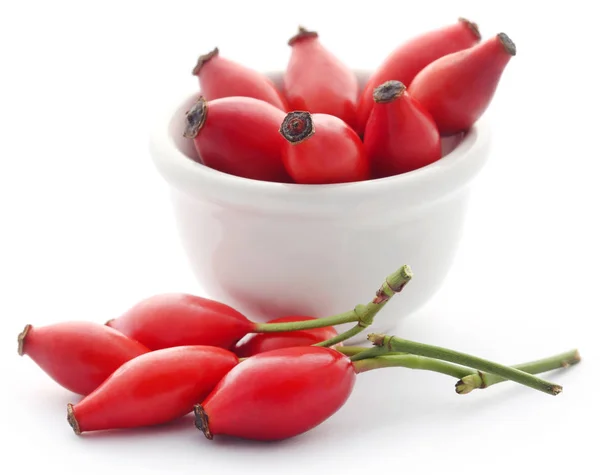 Rose hips closeup — Stok fotoğraf