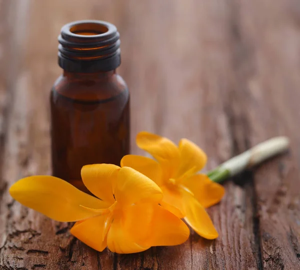 Crocus amarillo con aceite esencial — Foto de Stock