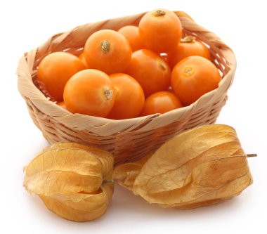 Taze yenilebilir physalis