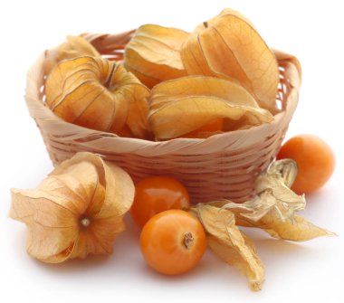 Taze yenilebilir physalis