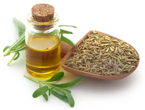 Dried rosemary with essential oil — Stock Photo, Image