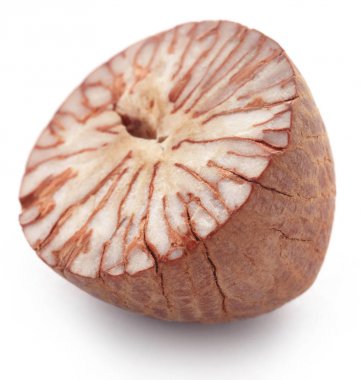 Closeup of Betel nut clipart