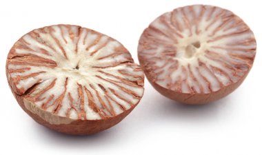 Closeup tembul fındık