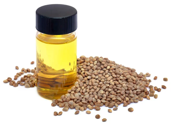 Semena konopí nebo konopí s esenciálním olejem — Stock fotografie