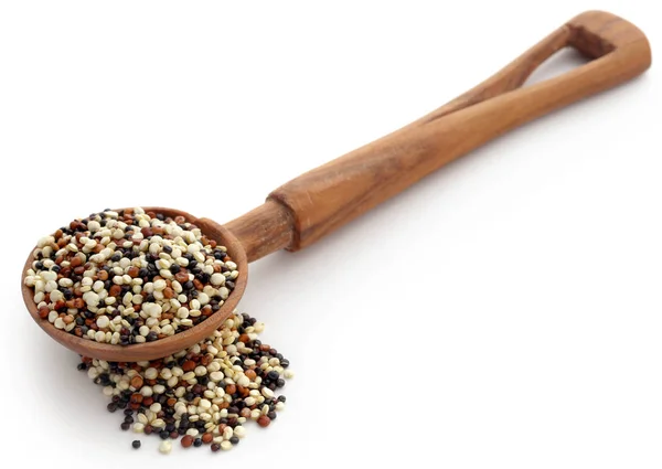 Čerstvé smíšené quinoa — Stock fotografie