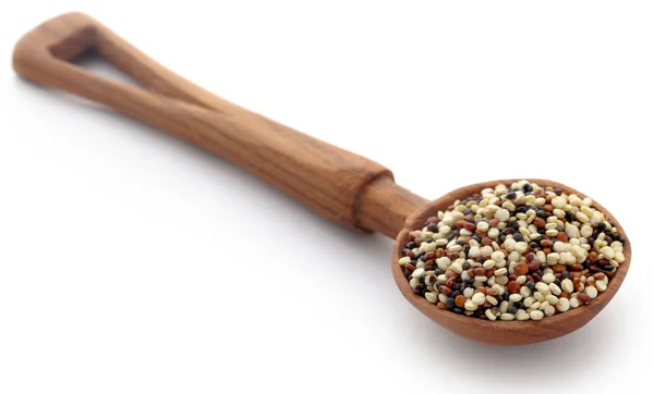 Färska blandade quinoa — Stockfoto