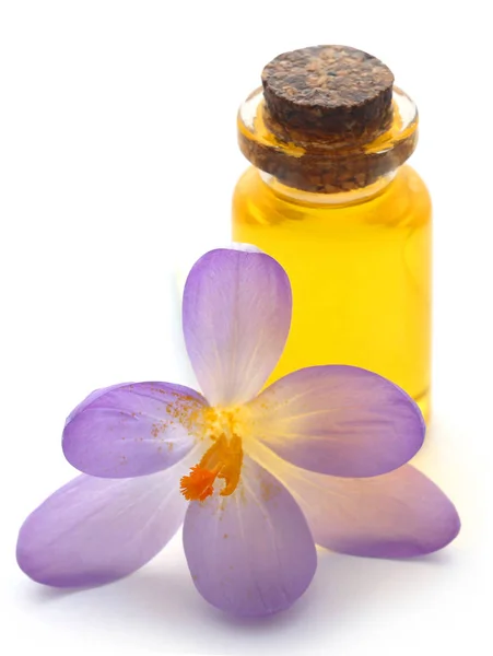 Fleur Crocus Safran Avec Extrait Bouteille Sur Blanc — Photo