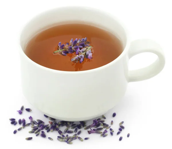Lavender tea with flower — ストック写真