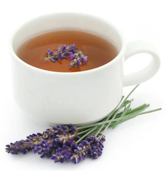 Lavender tea with flower — ストック写真