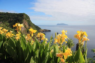 Flores Island Azores, Portekiz adalar