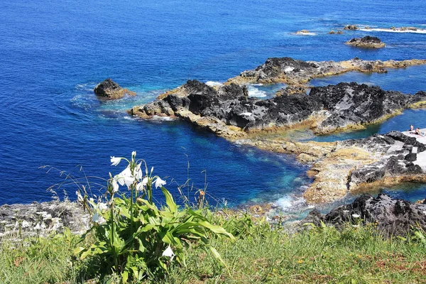 Flores Island w archipelagu Azorów, Portugalia — Zdjęcie stockowe