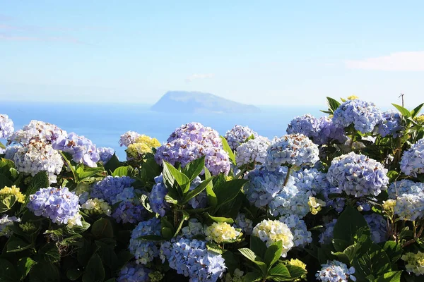 Flores Isola dell'Arcipelago delle Azzorre, Portogallo — Foto Stock