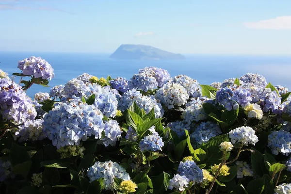 Isla Flores del Archipiélago de las Azores, Portugal — Foto de Stock