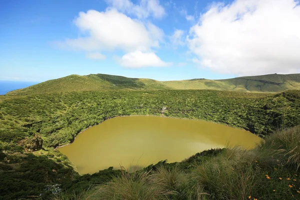 Flores, île de l'archipel des Açores, Portugal — Photo