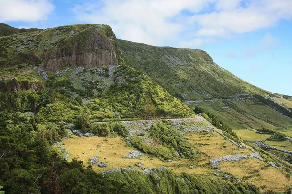 Rocha dos Bordes, symbole emblématique des Flores, de l'archipel des Açores, Portugal — Photo