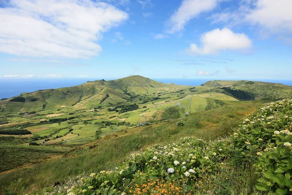 Flores Island Azores, Portekiz adalar Stok Resim