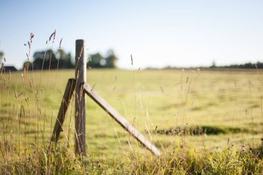 Erken sabah gündoğumu Countryside yaz