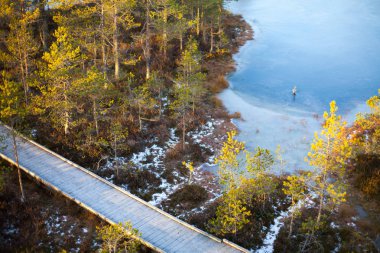 Hava kış bataklık manzara 