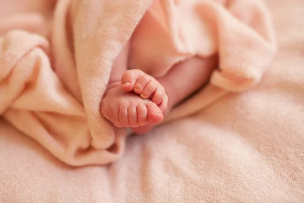 Newborn Baby Feet Pink Blanket — Stock Photo, Image