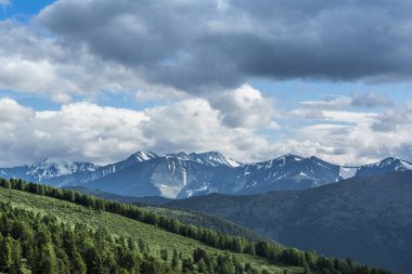 Cedars sarp dağların yamacında
