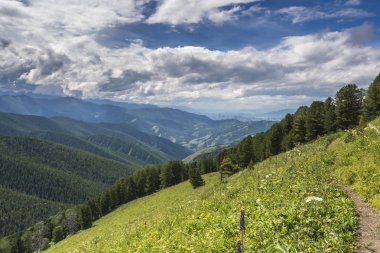 Yüksek ridge yamaçta çimen