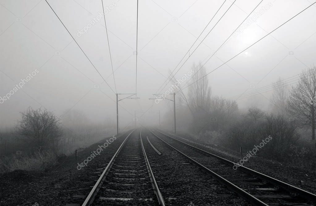 Lines in the mist 