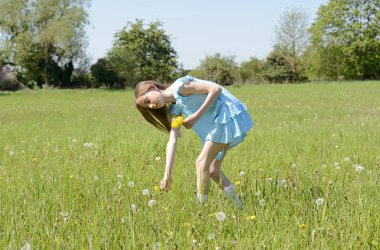 Kız malzeme çekme karahindiba