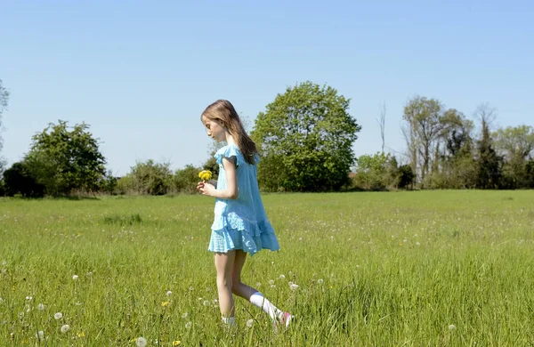 Dandelions kızla — Stok fotoğraf