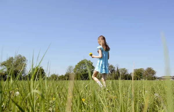 Dandelions kızla — Stok fotoğraf