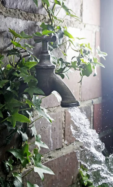 Oude kraan en planten — Stockfoto