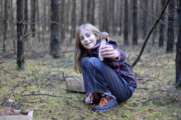 Little Girl Picking Mushrooms — Stock Photo, Image