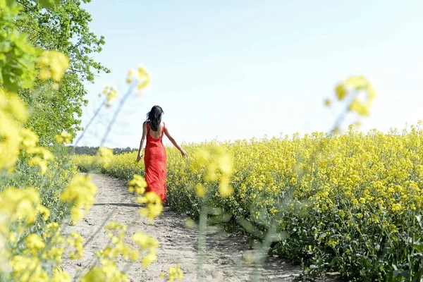 zarif genç kadın tecavüz alanında, arka görüş