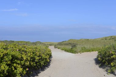  Dune Helgoland, mavi gökyüzü, Almanya
