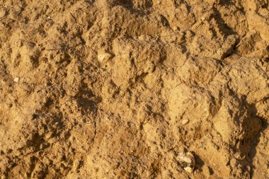 Arkaplan olarak sarı sarp kıyı