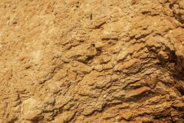 Arkaplan olarak sarı sarp kıyı