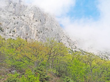 Kırım 'daki güzel dağlar. Yaz