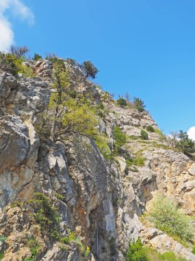 Kırım 'daki güzel dağlar. Yaz