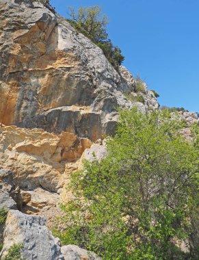 Kırım 'daki güzel dağlar. Yaz