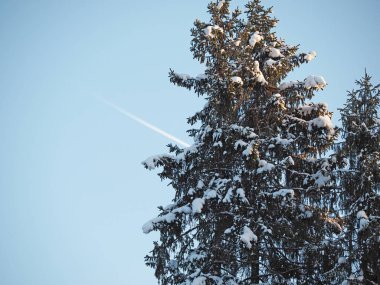 Gökyüzündeki uçağın izi.