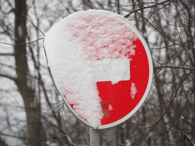 yol işareti ormanda 