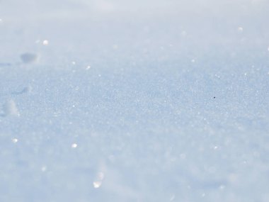 Kar. Güzel arka plan. Rus kışı