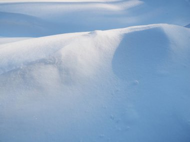 Kar. Güzel arka plan. Rus kışı