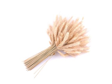 Beyaz arkaplanda buğday