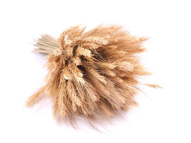 Beyaz arkaplanda buğday