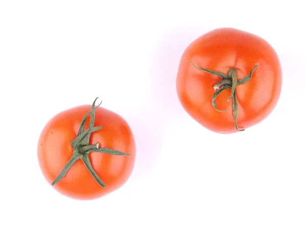 Tomato on a white background — Stock Photo, Image