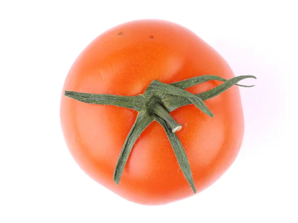 Tomaat op een witte achtergrond — Stockfoto