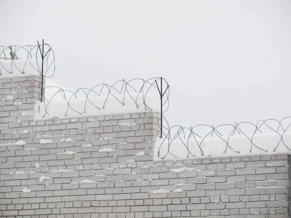 Колючая проволока на заборе в снегу — стоковое фото