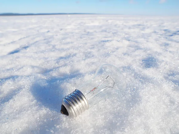 雪の中で電球 — ストック写真