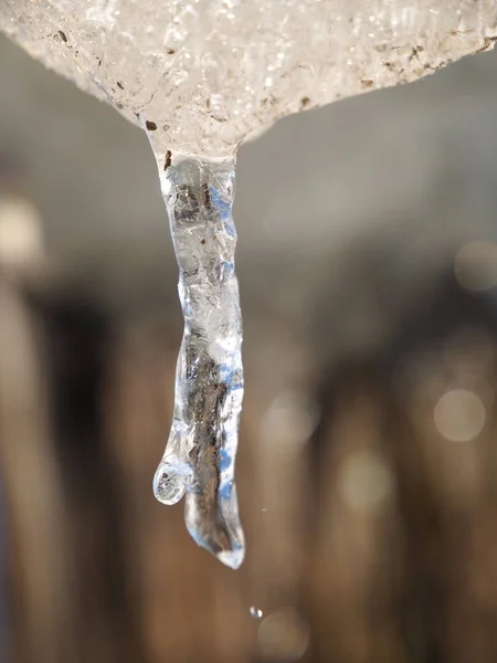 Icicles Transparentes Inverno Frio — Fotografia de Stock