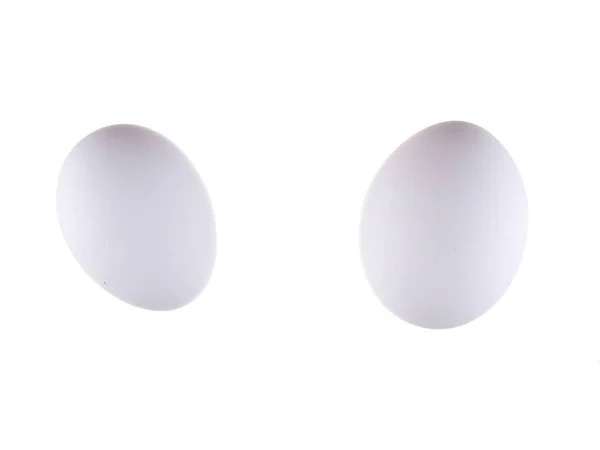 Egg on a white background — Stock Photo, Image